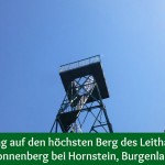 Wanderung auf den höchsten Berg des Leithagebirges