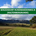 Winzendorf Rundwanderweg B (Kaltenbergrunde)
